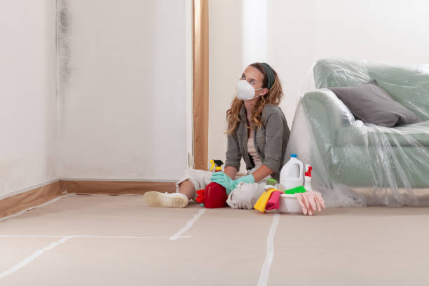 Reliable Basement Mold Remediation contractor in Midland, MI by WQB Mold Removal